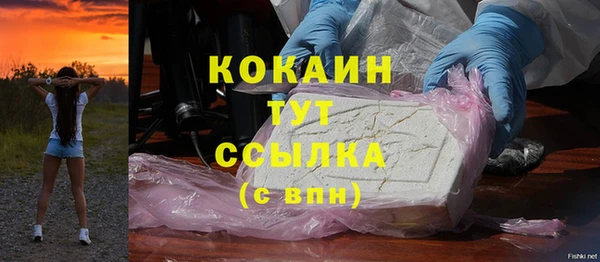 гидра Магас